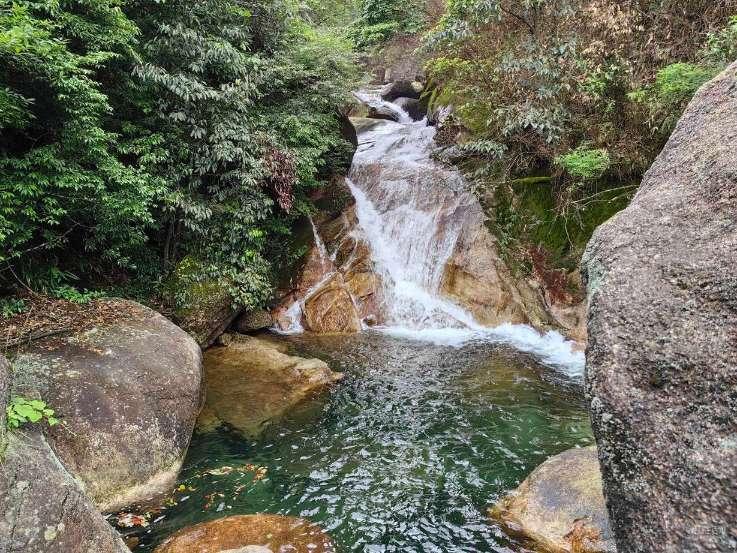 渭南市烹饪协会传捷报:大荔多家餐饮企业和个人获奖